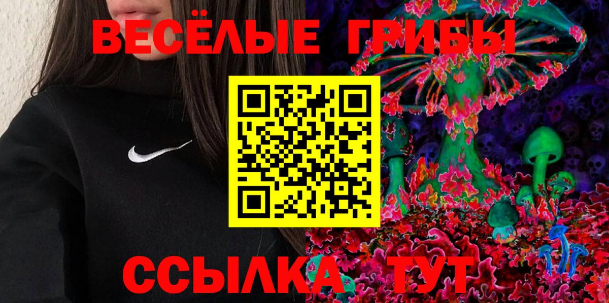 Кимовск  Галлюциногенные грибы мицелий  Вход с VPN 